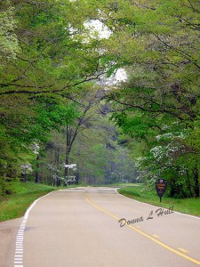 national-park-natchez-trace-mississippi