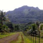 4-wheel-drive excursion Raiatea