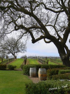 gainey-winery-solvang-california california-gainey-winery-solvang