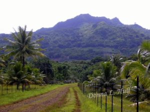 raiatea-4-wheel-drive-excursion