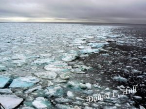 near-arctic-circle-norway