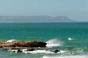 south-africa-shark-excursion sea-view-south-africa-gansbaii