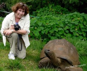 Donna meets a tortoise