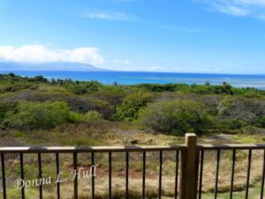 Hilltop-Cottage-Molokai-Hawaii Our view of paradise on Moloka'i