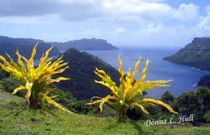 Nuku-hiva-marquesas-islands Nuku-hiva-marquesas-islands