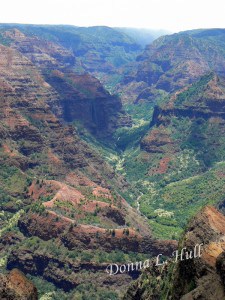 Waimea-canyon-view