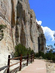 inscription-trail-el-morro-new-mexico Inscription Trail