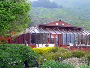 big-sur-california-ragged-point-inn-restaurant