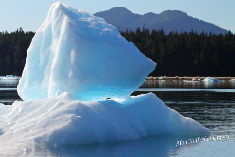 iceberg-leconte-bay-alaska innersea-discoveries-leconte-bay-excursion