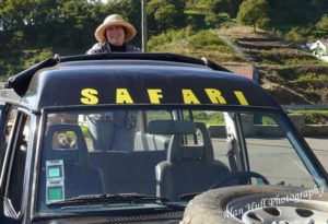 cruise-excursion-donna-hull-funchal-madeira