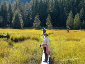 innersea-discoveries-three-lakes-loop-trail-alaska