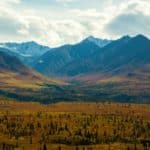 Fall on the Glenn Highway in Alaska