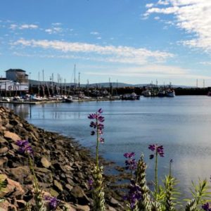 Digby Harbor