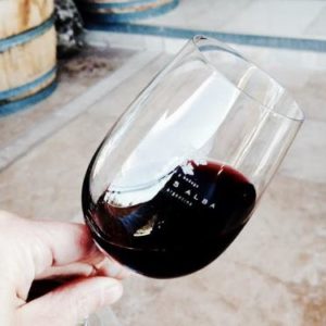 Mendoza wine travel