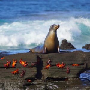 Galapagos Islands