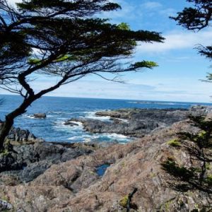 Wild Pacific Trail