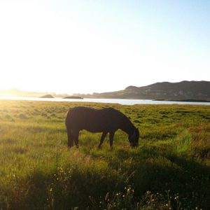 St. Pierre