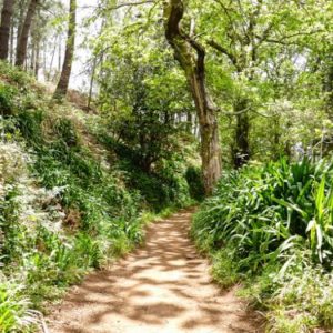 Levada walk on Funchal, Madeira