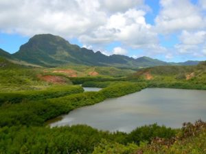 Ideas for Boomer Adventures in Hawaii for the Active Traveler