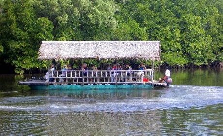 river travel in Kota Kinabalu