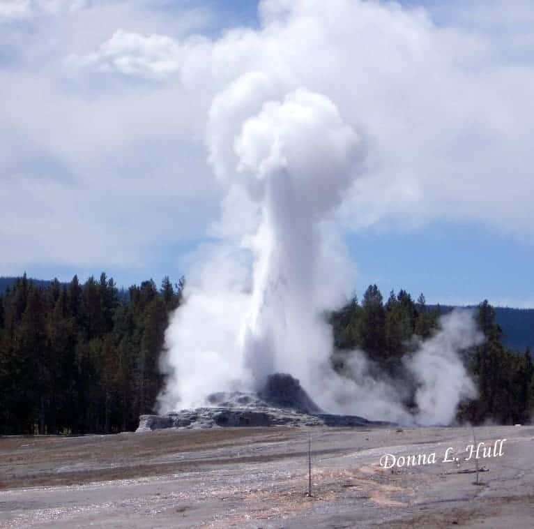 Geyser Photograph in Yellowstone National Park