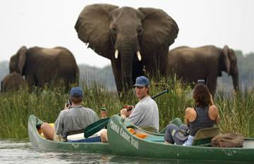africa-kayak-elephant-safari