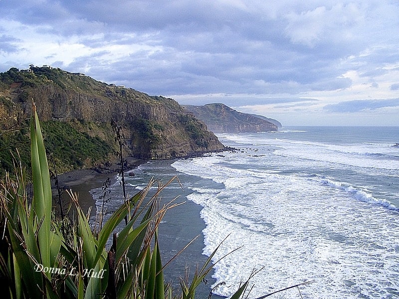 cliffs-muriwai-new-zealand