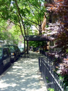 street-brownstones-new-york-city