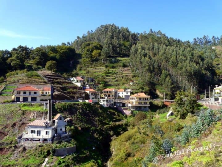 Madeira mountainside