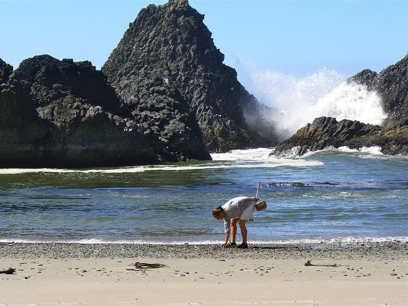 Oregon Beachcombing