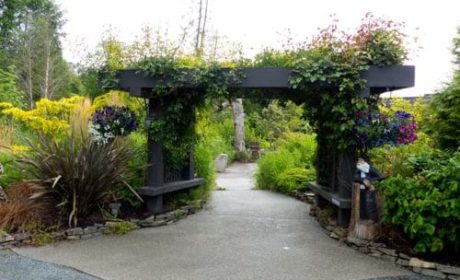 Walking through the flower-draped gate at Inn the Estuary on Vancouver Island.