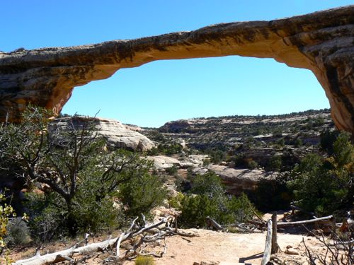 Tips for a Natural Bridges National Monument Scenic Drive