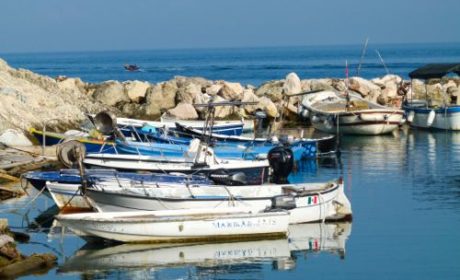 Boats in the harbor at San Domino in Italy's Tremiti Islands