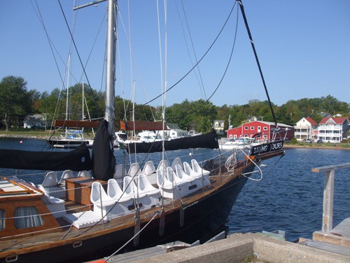 Amoeba sailboat