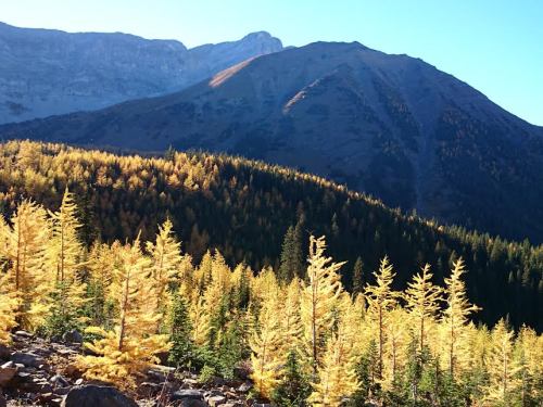 Active Fall Travel in the Canadian Rockies