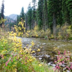 Tips for taking fall road trips