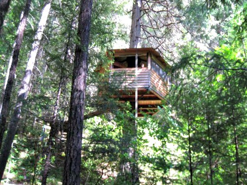 Reconnect with nature by staying off-grid in a treehouse