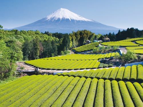 Explore Japan with World Expeditions