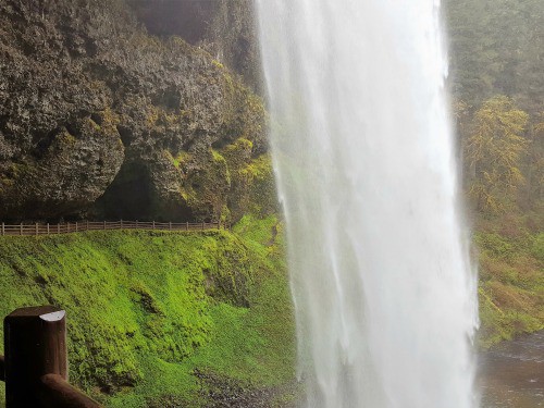 Visiting Silver Falls State Park on a Boomer Trip to Oregon