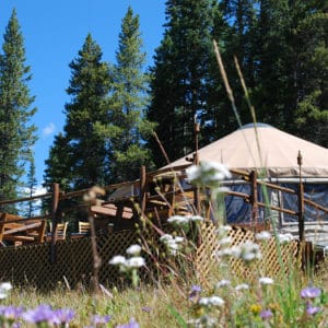 Cookhouse Yurt Colorado