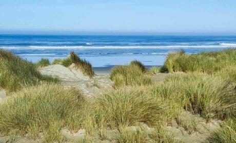 sand dunes in front of the ocean