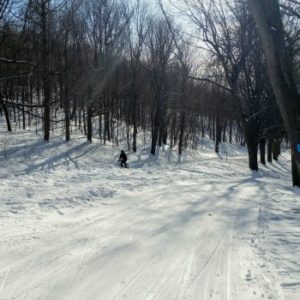 Ski trails on Mont Royal