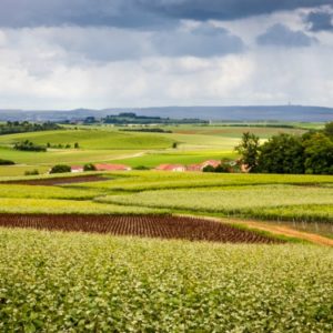 The rolling hills in Champagne Country