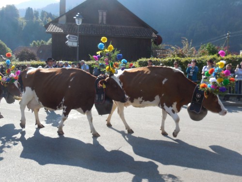 Watch the Cows Come Home at the Desalpe Festival in Charmey, Switzerland
