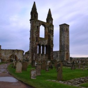 ruins of old cathedral surrounded by green grass