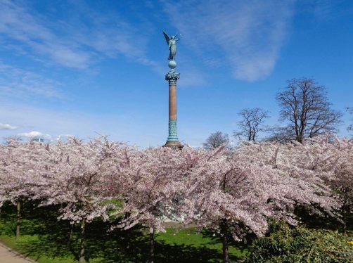 a statue monument surrounded by pink blossoms