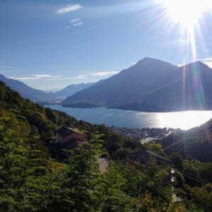 large lake surrounded by green covered mountains