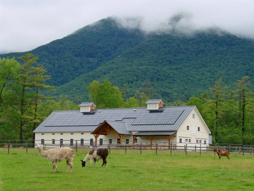 goats grazing in front of a barn surrounded by mountains