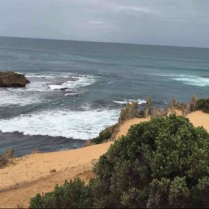 shot of rocky coastline with greenery