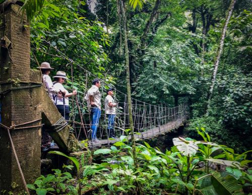 Panama vacation ideas include hiking in the jungle